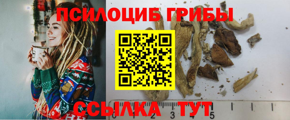 Галлюциногенные грибы Magic Shrooms Братск